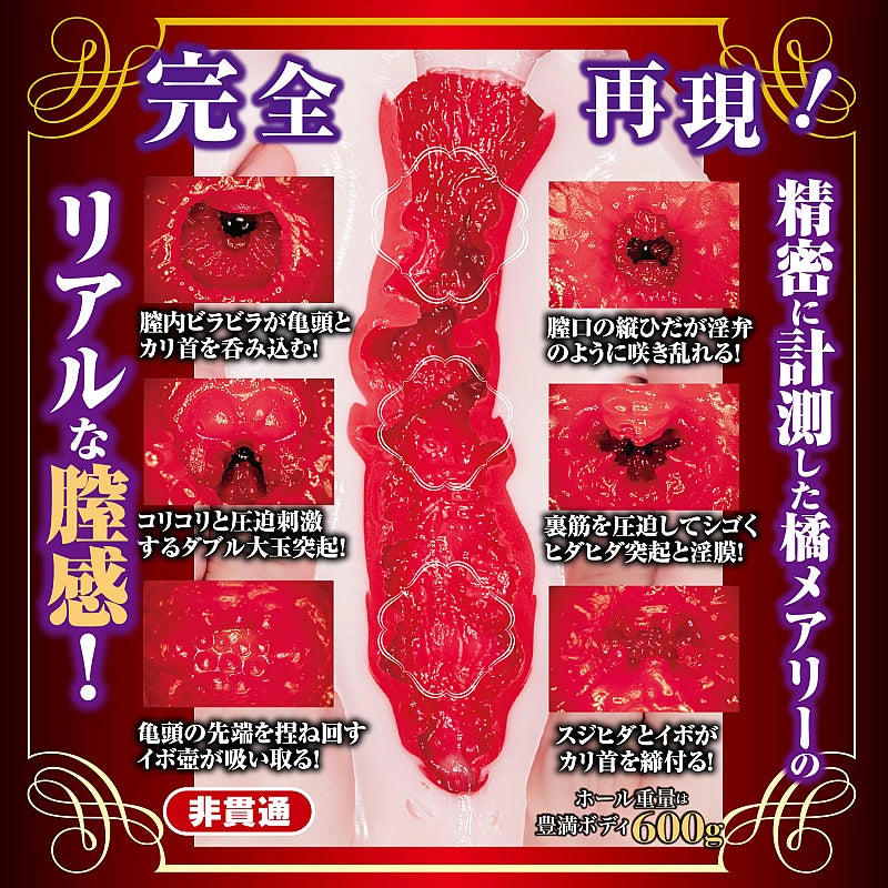 NPG - 新熟女の星 橘瑪麗