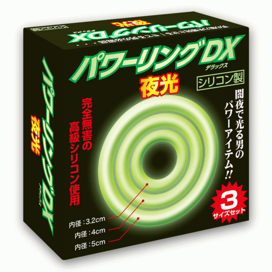 電源環DX 夜光