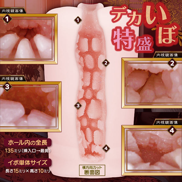 莫科托科阿爾登特 動漫飛機杯