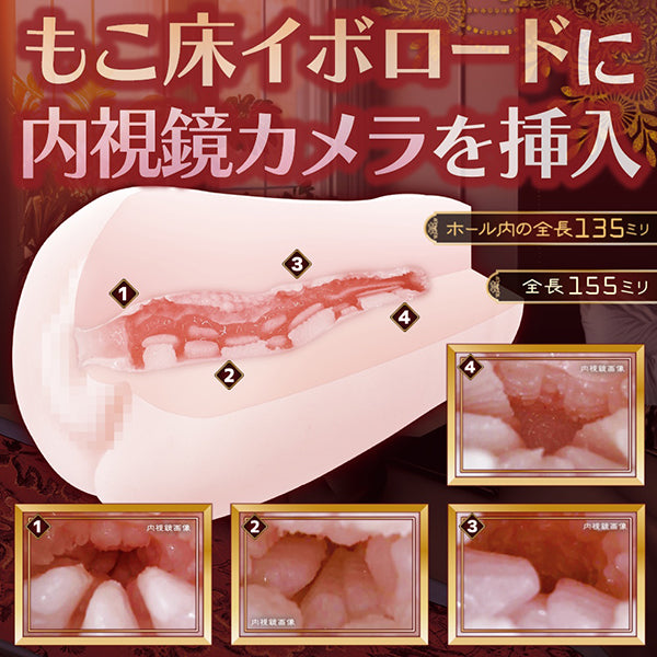 莫科托科阿爾登特 動漫飛機杯