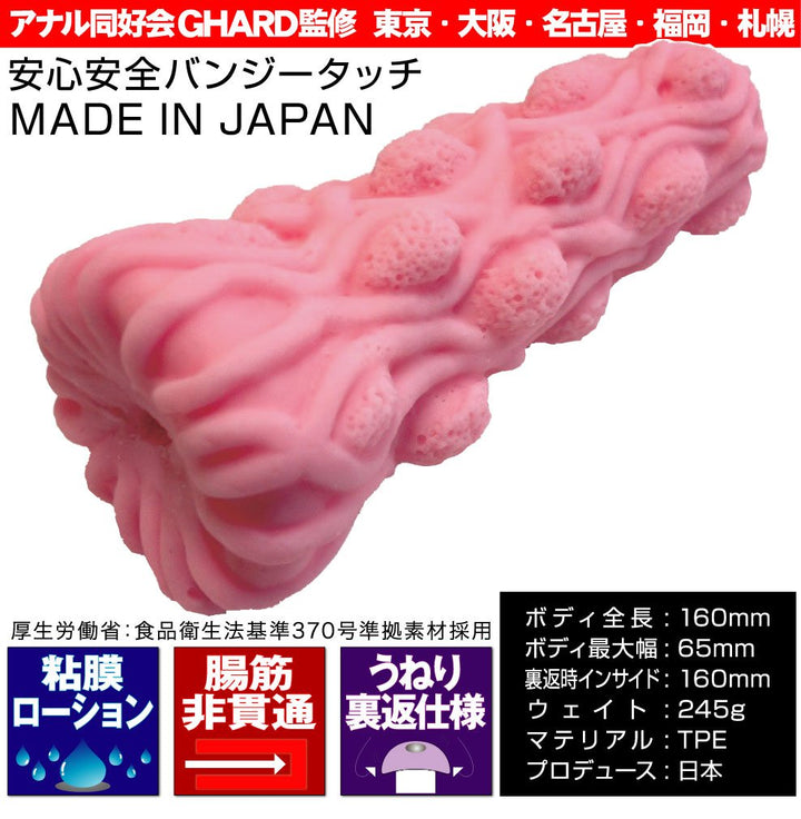 RIDE JAPAN 腸快感! 肛門教師 後庭自慰套