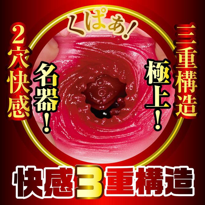 NPG 榮譽的名器2 森日向子