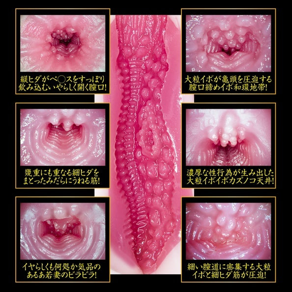 NPG-2代目完熟名器物語-募集若妻-葵司