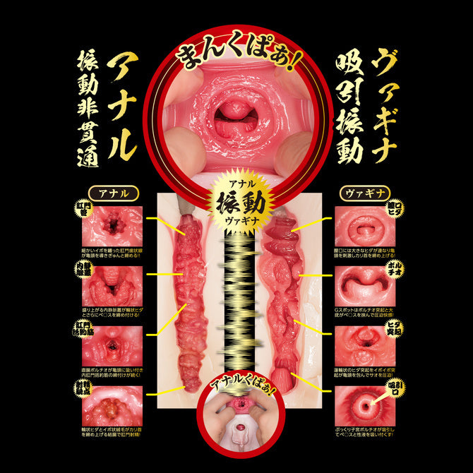 電動吸震 生腰名器 北野未奈 大型名器飛機杯